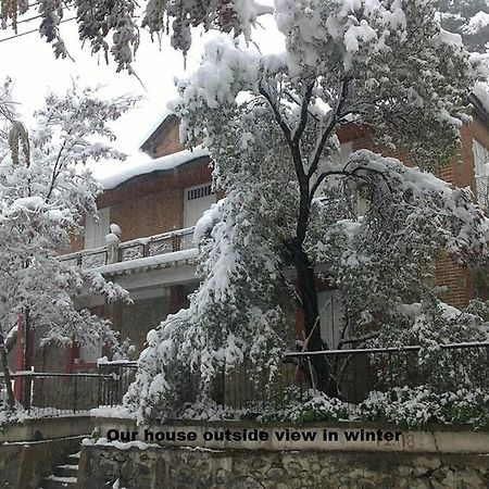 Metaxas Mansion Guest House Какопетрия Екстериор снимка