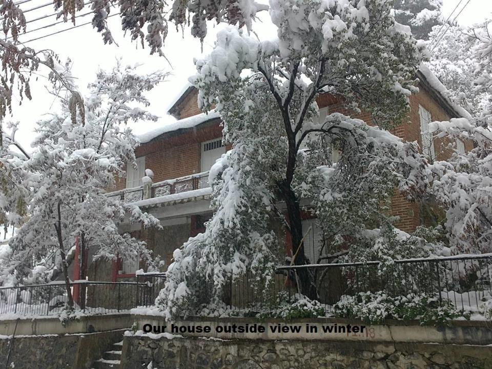 Metaxas Mansion Guest House Какопетрия Екстериор снимка